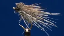 Video thumb for Hare's Ear and Partridge Caddis