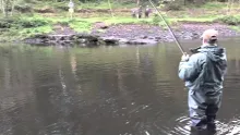 Video thumb for Salmon on the Fly.