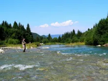 Video thumb for Part 4 Fly fishing in Slovakia - fly fishing paradise in in the heart of Europe