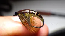 Video thumb for Ammonite Nymph