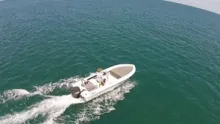 Video thumb for Aerial footage of longtail tuna feeding over Exmouth Gulf