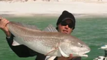 Video thumb for Shorline redfish