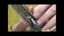 Video thumb for Wet Fly Wings