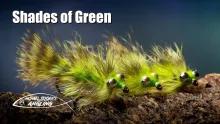 Video thumb for Shades of Green