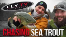 Video thumb for Chasing Sea Trout