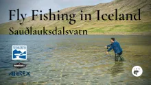Video thumb for Fly Fishing & Exploring in Iceland - Sauðlauksdalsvatn