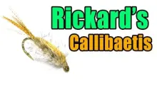 Video thumb for Rickard's Callibaetis Nymph