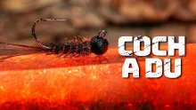 Video thumb for Coch a Du