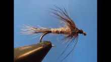 Video thumb for Red Fox Squirrel Wet Fly