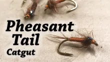 Video thumb for Pheasant Tail Catgut Nymph