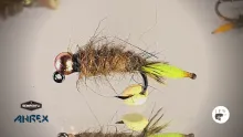 Video thumb for Peeping Caddis