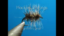 Video thumb for Griffith's Gnat