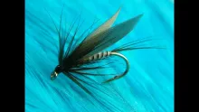 Video thumb for Autumn Dun Wet Fly