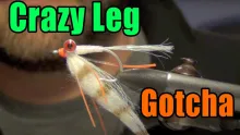 Video thumb for Crazy Leg Gotcha Bonefish Fly
