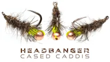Video thumb for Headbanger Cased Caddis