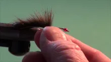 Video thumb for Glenn's Leech