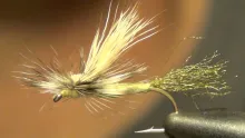 Video thumb for EC Caddis