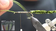 Video thumb for Rubberlegs Stonefly