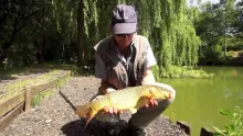 Video thumb for Summer Carp Fly Fishing