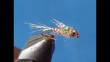 Video thumb for Trigger Nymph