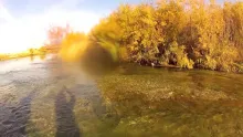 Video thumb for Fall FlyFishing - Idaho 2013