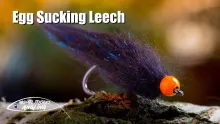 Video thumb for Egg Sucking Leech