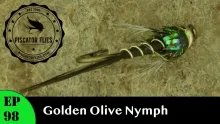 Video thumb for Golden Olive Nymph 