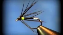 Video thumb for Hot Spot Spider (soft hackle)