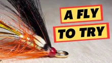 Video thumb for Tying A Salmon Fly With A Unique Body...