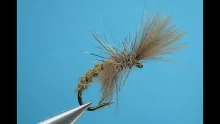 Video thumb for Shuttlecock Caddis