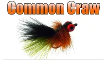 Video thumb for Common Craw