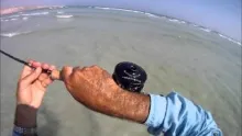 Video thumb for Fly Fishing for Arabian Permit Part 2, 2012