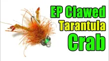 Video thumb for EP Clawed Tarantula Crab