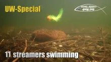 Video thumb for 11 Streamer flies - swimming under water