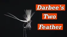 Video thumb for Two Feather Fly