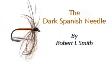 Video thumb for Dark Spanish Needle
