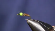 Video thumb for Cased Caddis