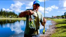 Video thumb for My big bass in a # 5 fly rod