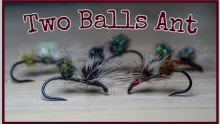 Video thumb for Two Balls Ant