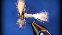 Video thumb for White Wulff dry fly