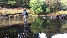 Video thumb for Salmon Fishing Ireland 2013 
