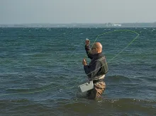 User submitted picture: Jesper's fight