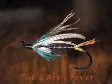 User submitted picture: Recently turned on to tyi...