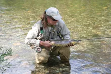 User submitted picture: WONDERFUL TROUT