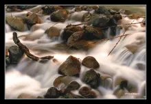 User submitted picture: Arroyo Partido, San Martin