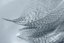 User submitted picture: Stillness