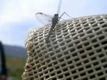 User submitted picture: Always a welcome sight wh...