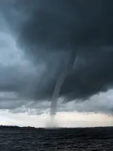 User submitted picture: We ran into this nasty we...