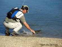 User submitted picture: The best option.