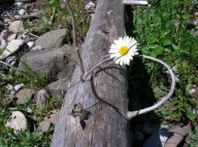 User submitted picture: The embrace - past and pr...